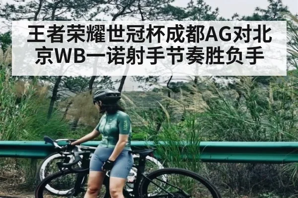 王者荣耀世冠杯成都AG对北京WB一诺射手节奏胜负手（kaiyun）